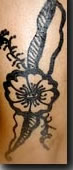 Hibiscus_henna